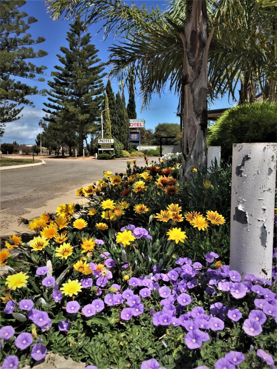 Ceduna Motor Inn מראה חיצוני תמונה